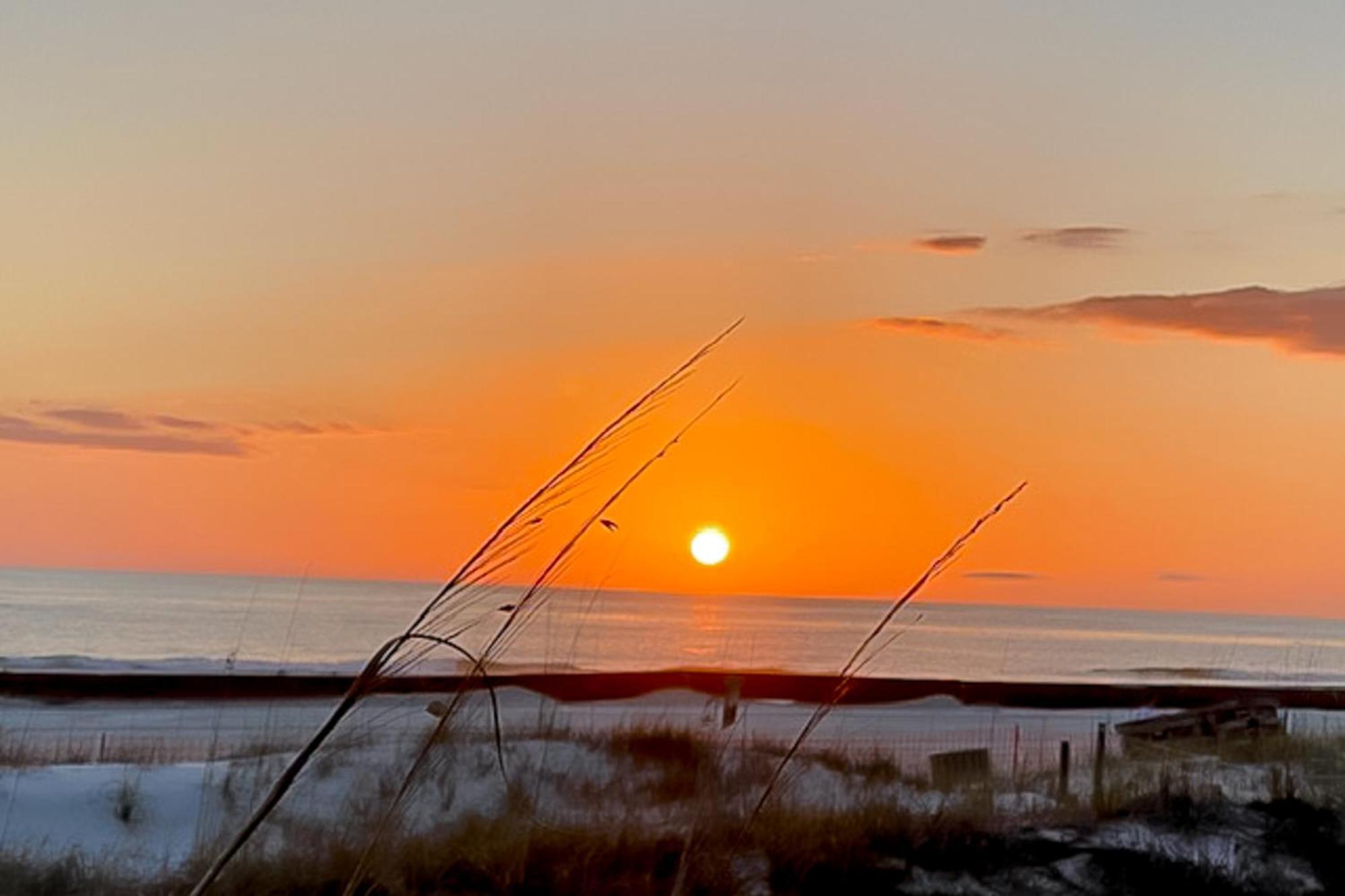 Dunes Of Panama C104 Panama City Beach